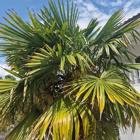 Delfini House Apartament Asprovalta