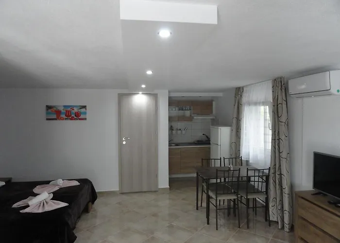 公寓 Delfini House 艾斯普罗瓦塔